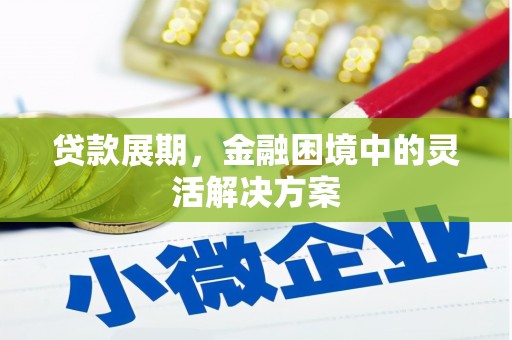 中正贷款展期，金融困境中的灵活解决方案