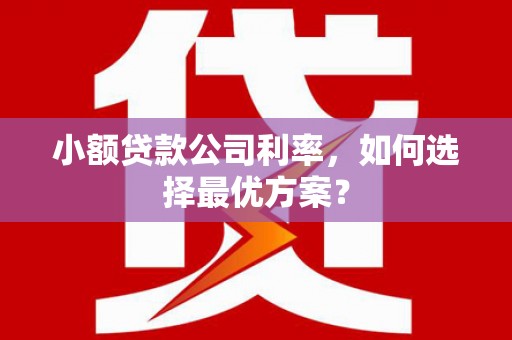 中正小额贷款公司利率，如何选择最优方案？