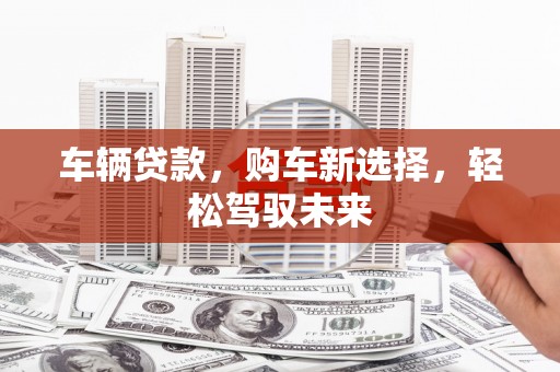 中正车辆贷款，购车新选择，轻松驾驭未来