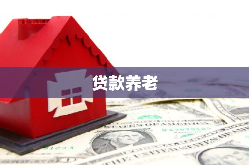 中正贷款养老