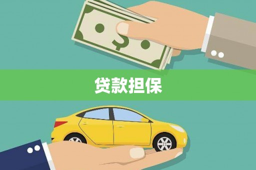 中正贷款担保