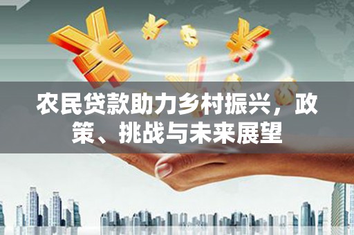 中正农民贷款助力乡村振兴，政策、挑战与未来展望