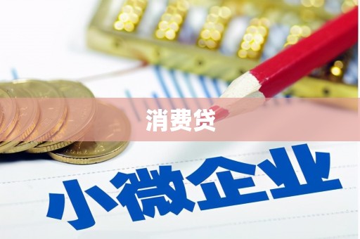 中正消费贷