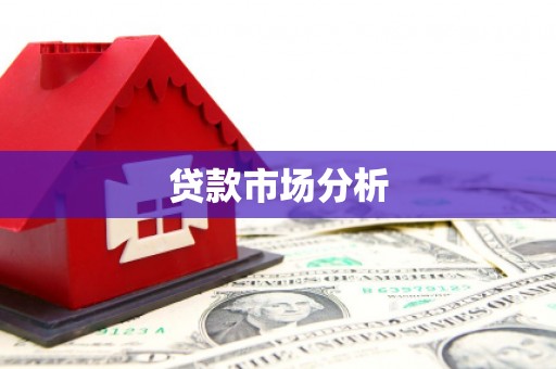 中正贷款市场分析