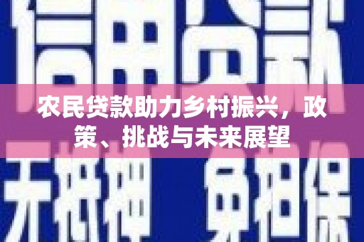 中正农民贷款助力乡村振兴，政策、挑战与未来展望