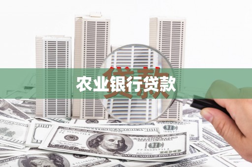 中正农业银行贷款