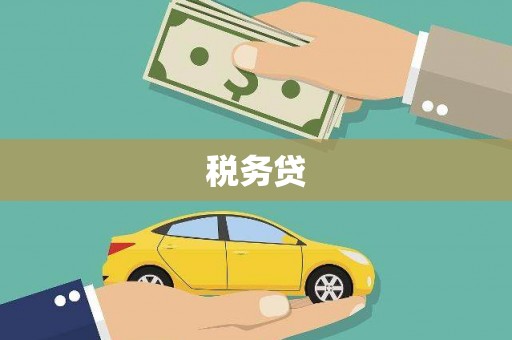 中正税务贷