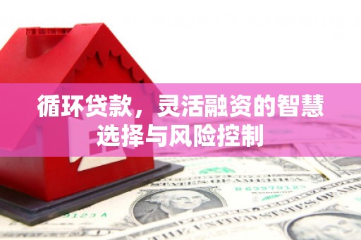 中正循环贷款，灵活融资的智慧选择与风险控制