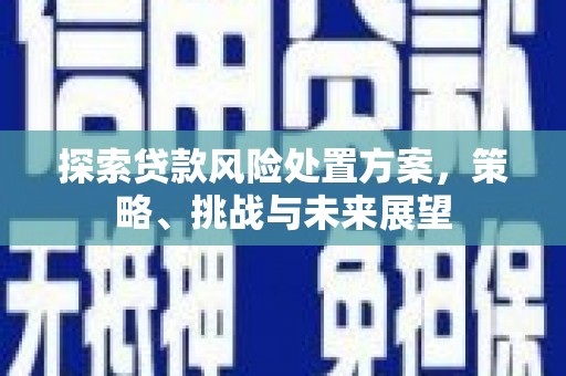 中正探索贷款风险处置方案，策略、挑战与未来展望