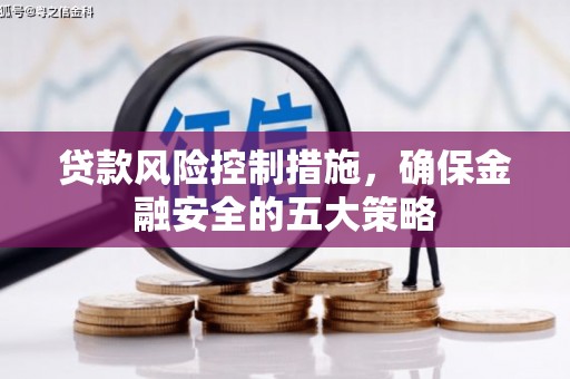 中正贷款风险控制措施，确保金融安全的五大策略