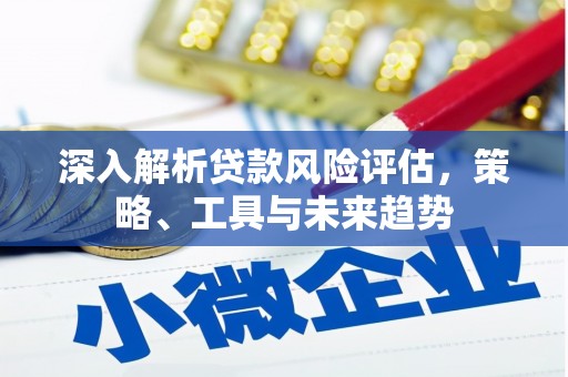 中正深入解析贷款风险评估，策略、工具与未来趋势