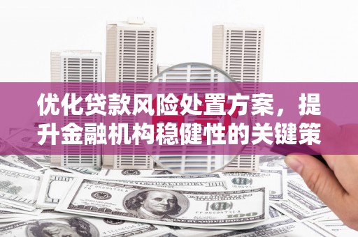 中正优化贷款风险处置方案，提升金融机构稳健性的关键策略