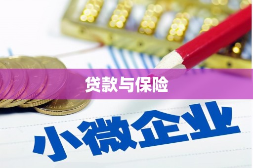 中正贷款与保险