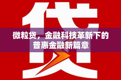 中正微粒贷，金融科技革新下的普惠金融新篇章