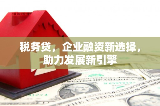 中正税务贷，企业融资新选择，助力发展新引擎