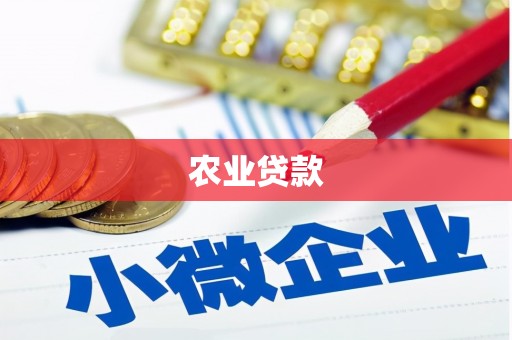 中正农业贷款