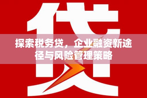 中正探索税务贷，企业融资新途径与风险管理策略