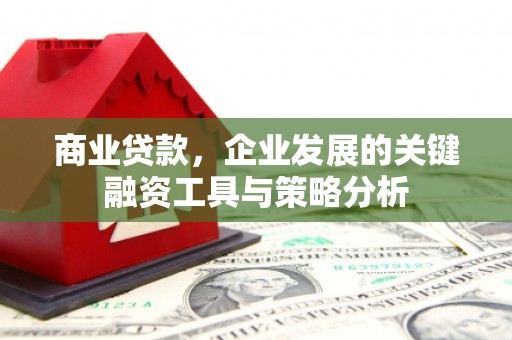 中正商业贷款，企业发展的关键融资工具与策略分析