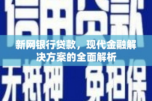 中正新网银行贷款，现代金融解决方案的全面解析