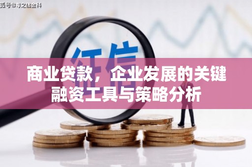 中正商业贷款，企业发展的关键融资工具与策略分析