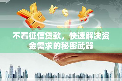 中正不看征信贷款，快速解决资金需求的秘密武器