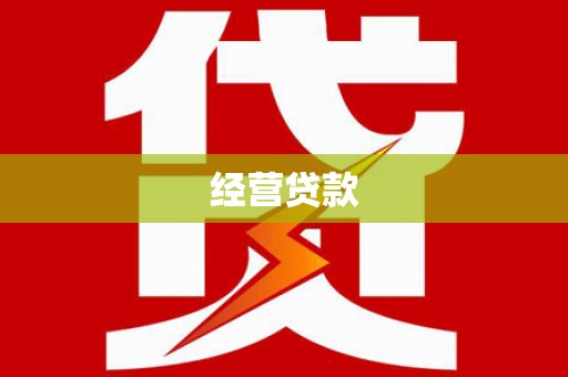 中正经营贷款