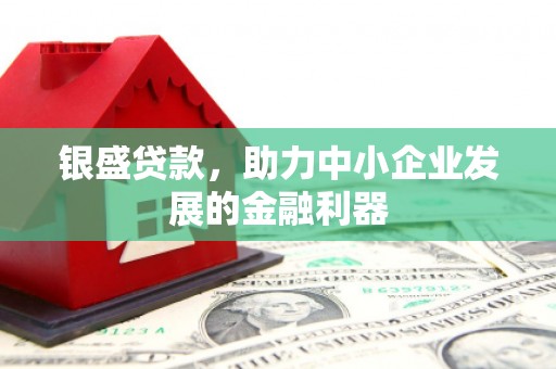 中正银盛贷款，助力中小企业发展的金融利器