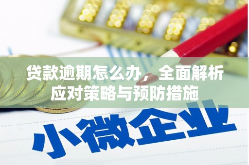 中正贷款逾期怎么办，全面解析应对策略与预防措施