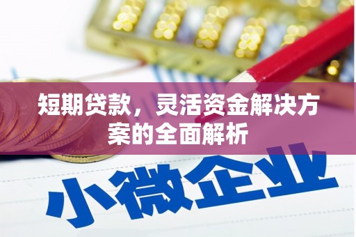 中正短期贷款，灵活资金解决方案的全面解析