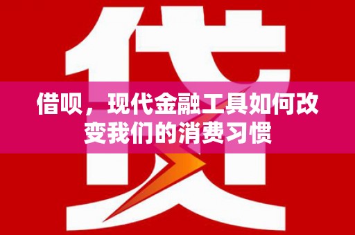 中正借呗，现代金融工具如何改变我们的消费习惯