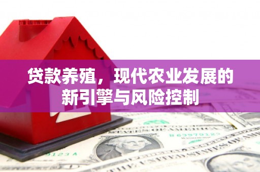 中正贷款养殖，现代农业发展的新引擎与风险控制