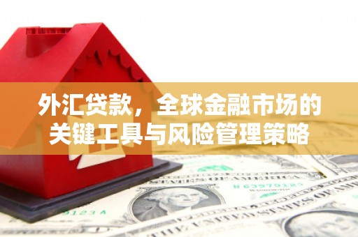 中正外汇贷款，全球金融市场的关键工具与风险管理策略