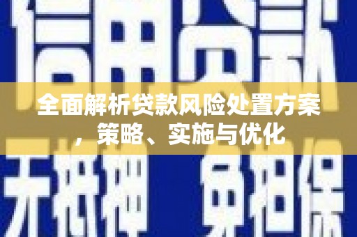 中正全面解析贷款风险处置方案，策略、实施与优化