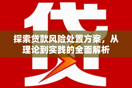 中正探索贷款风险处置方案，从理论到实践的全面解析