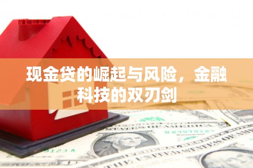 中正现金贷的崛起与风险，金融科技的双刃剑