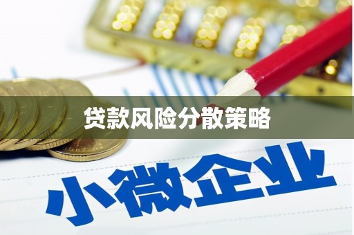 中正贷款风险分散策略