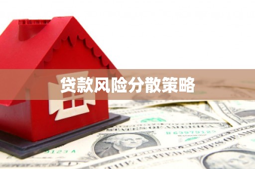 中正贷款风险分散策略