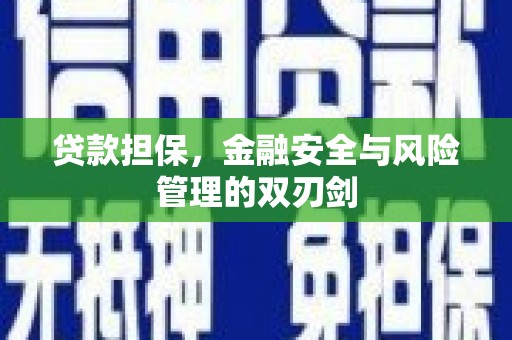 中正贷款担保，金融安全与风险管理的双刃剑