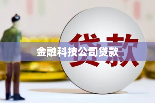 中正金融科技公司贷款