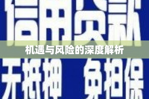 中正机遇与风险的深度解析