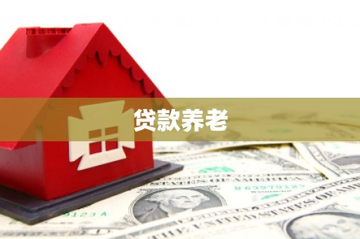 中正贷款养老