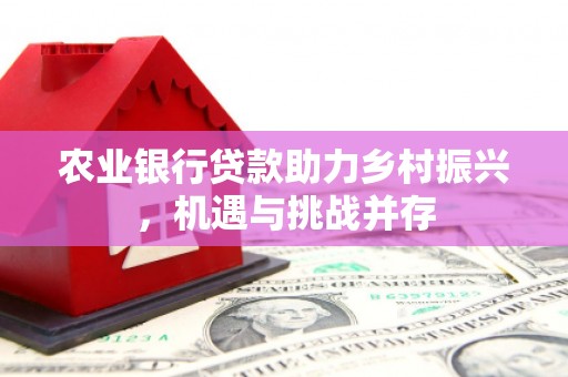 中正农业银行贷款助力乡村振兴，机遇与挑战并存