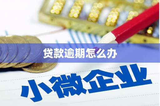 中正贷款逾期怎么办