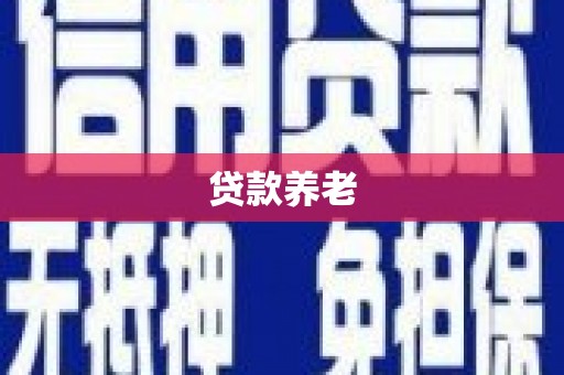 中正贷款养老