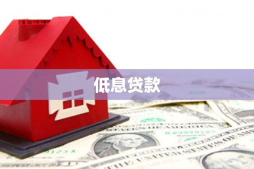 中正低息贷款