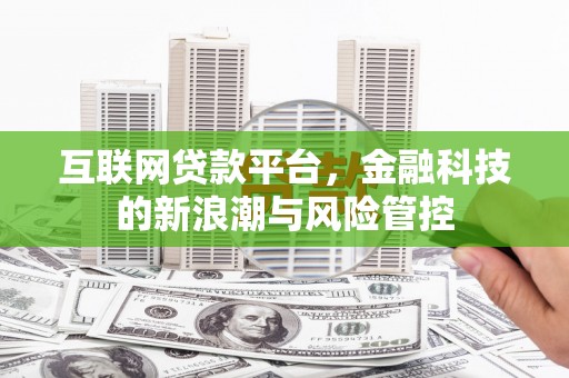 中正互联网贷款平台，金融科技的新浪潮与风险管控