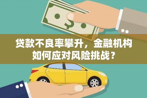 中正贷款不良率攀升，金融机构如何应对风险挑战？