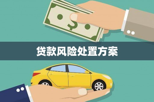 中正贷款风险处置方案