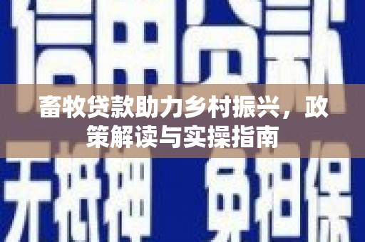 中正畜牧贷款助力乡村振兴，政策解读与实操指南