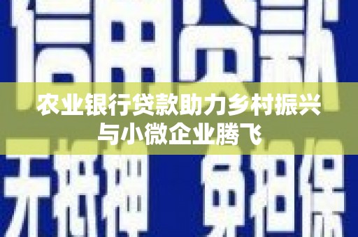 中正农业银行贷款助力乡村振兴与小微企业腾飞